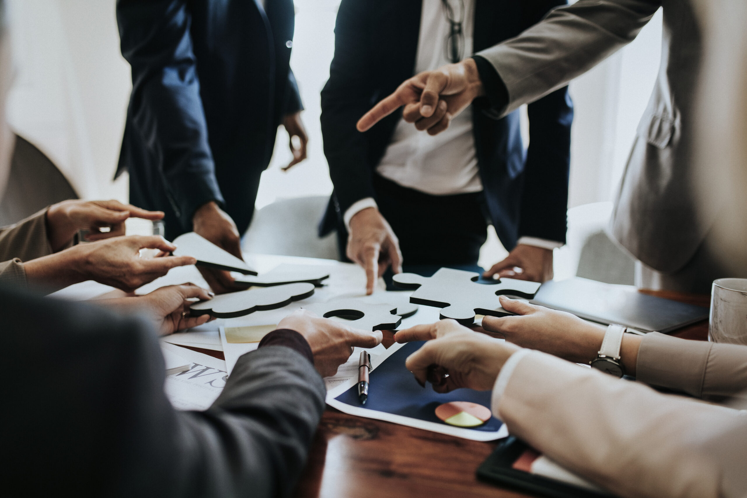 BAC PRO ASSISTANCE A LA GESTION DES ORGANISATIONS ET DE LEURS ACTIVITES